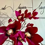 Plesse - Exklusiv Und Geraeumig Wohnen Nahe Goettingen Apartment Bovenden