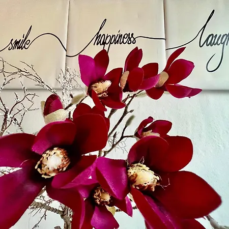 Plesse - Exklusiv Und Geraeumig Wohnen Nahe Goettingen Daire Bovenden